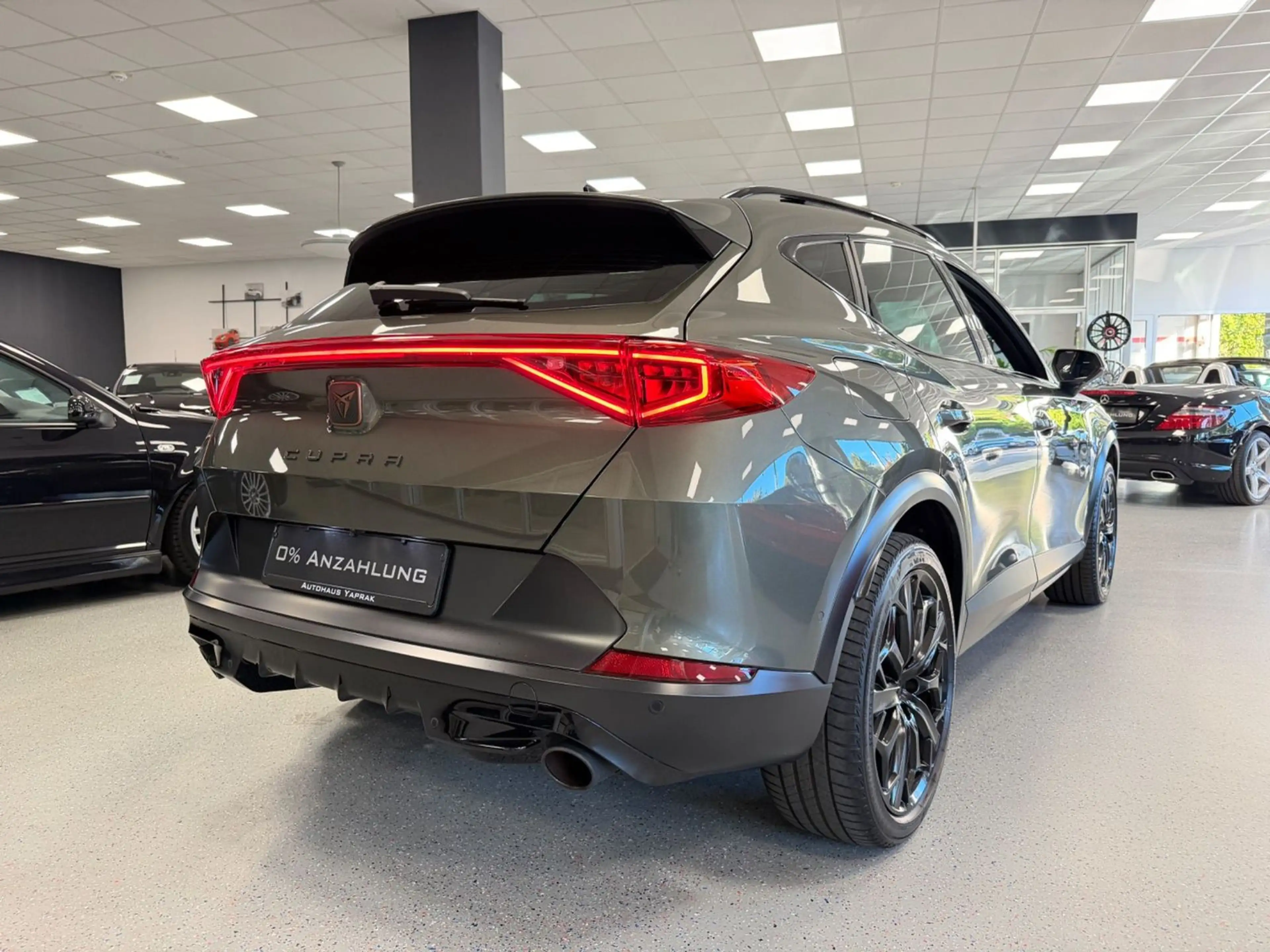 CUPRA Formentor 2.0 TSI VZ Tribe Edition|1HD|AHK|Pano| — photo 12