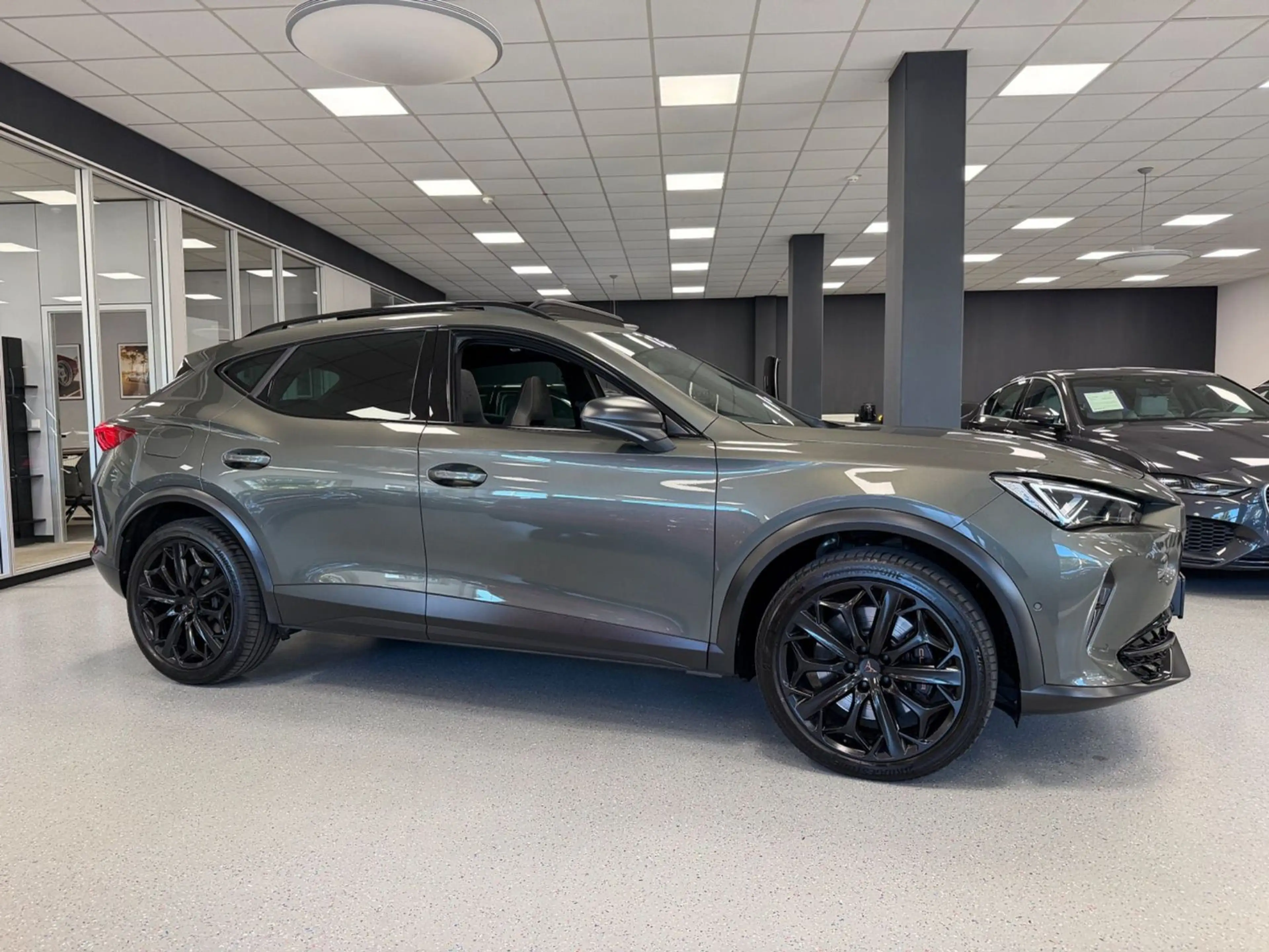 CUPRA Formentor 2.0 TSI VZ Tribe Edition|1HD|AHK|Pano| — photo 9