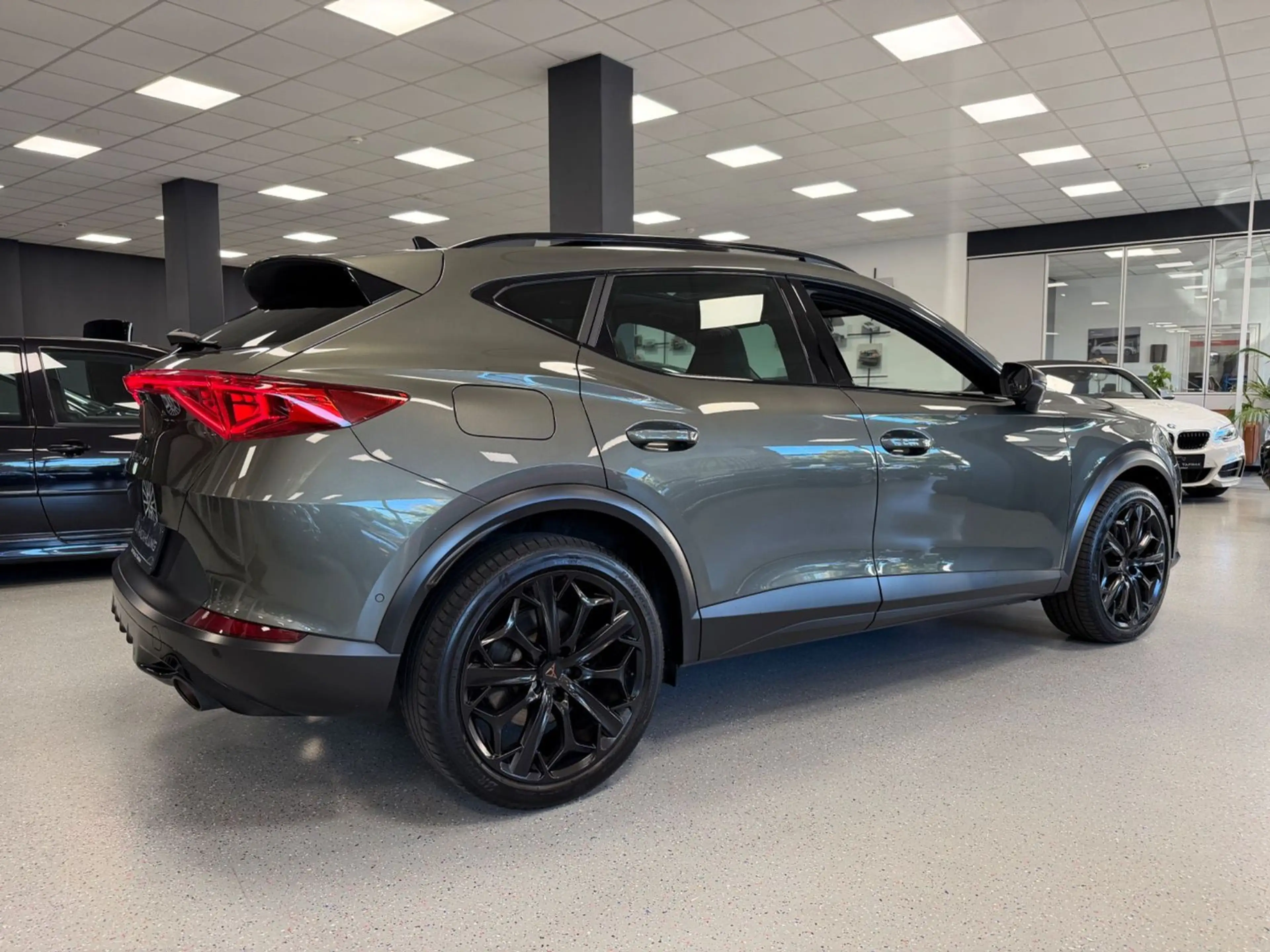 CUPRA Formentor 2.0 TSI VZ Tribe Edition|1HD|AHK|Pano| — photo 10
