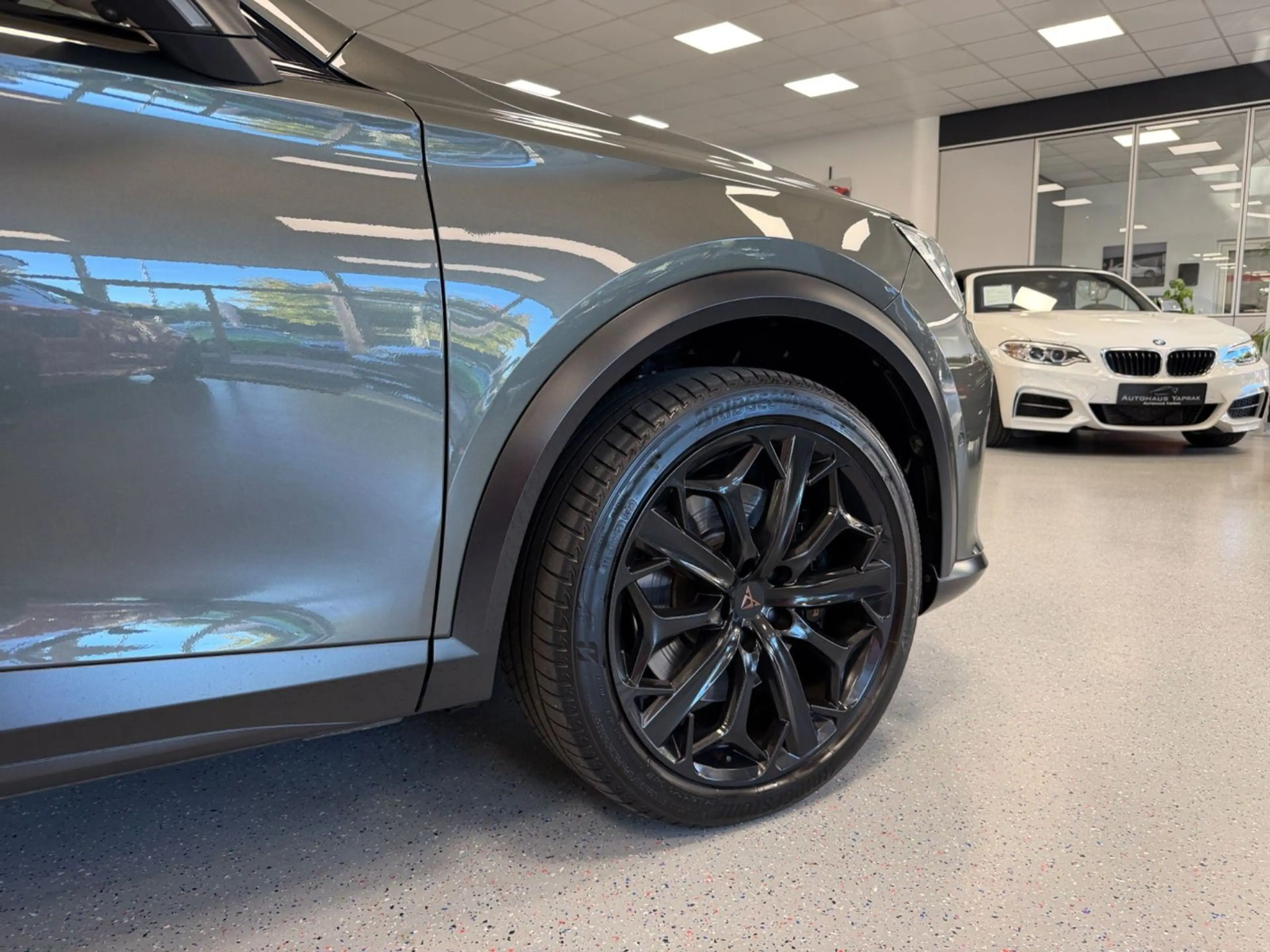 CUPRA Formentor 2.0 TSI VZ Tribe Edition|1HD|AHK|Pano| — photo 11