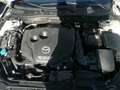 Mazda 6 Wagon 2.2 Evolve 150cv 6mt Vision Pack Bianco - thumbnail 13
