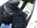 Mazda 6 Wagon 2.2 Evolve 150cv 6mt Vision Pack Bianco - thumbnail 9