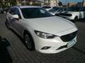 Mazda 6 Wagon 2.2 Evolve 150cv 6mt Vision Pack Bianco - thumbnail 1