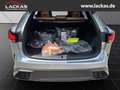 Lexus RX 450h F Sport Design Panoramaglasdach Zilver - thumbnail 19