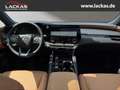 Lexus RX 450h F Sport Design Panoramaglasdach Argento - thumbnail 13