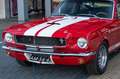 Ford Mustang Shelby GT350 Fastback Re-Creation Rood - thumbnail 16