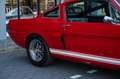 Ford Mustang Shelby GT350 Fastback Re-Creation Rood - thumbnail 24