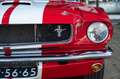 Ford Mustang Shelby GT350 Fastback Re-Creation Rood - thumbnail 34