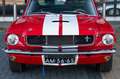 Ford Mustang Shelby GT350 Fastback Re-Creation Rood - thumbnail 18