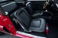 Ford Mustang Shelby GT350 Fastback Re-Creation Rood - thumbnail 33