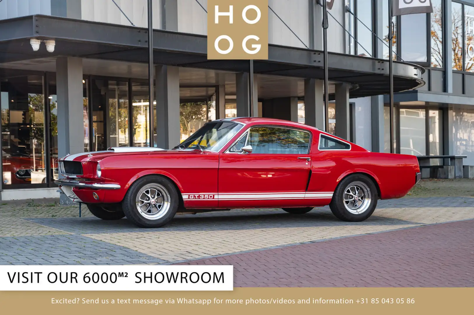 Ford Mustang Shelby GT350 Fastback Re-Creation Rood - 1