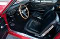 Ford Mustang Shelby GT350 Fastback Re-Creation Rood - thumbnail 8