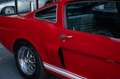 Ford Mustang Shelby GT350 Fastback Re-Creation Rood - thumbnail 30