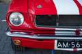 Ford Mustang Shelby GT350 Fastback Re-Creation Rood - thumbnail 32