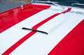 Ford Mustang Shelby GT350 Fastback Re-Creation Rood - thumbnail 36