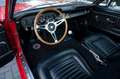 Ford Mustang Shelby GT350 Fastback Re-Creation Rood - thumbnail 15
