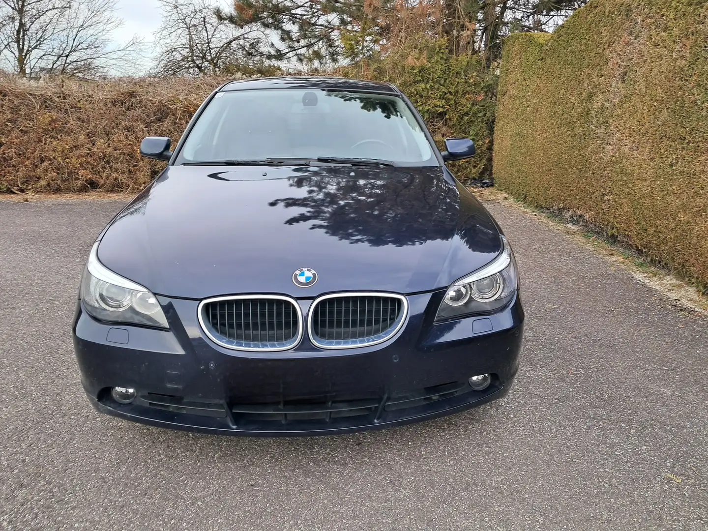 BMW 525 525i+Aut. Blau - 2
