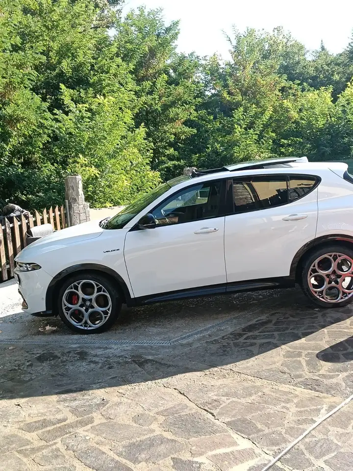 Alfa Romeo Tonale 2024