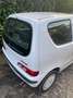Fiat 600 Bianco - thumbnail 4