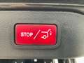 Mercedes-Benz Sonstige 300 LANG LED+ACC+NAVI+APP+360°+SHZ+BURMESTER Grau - thumbnail 15