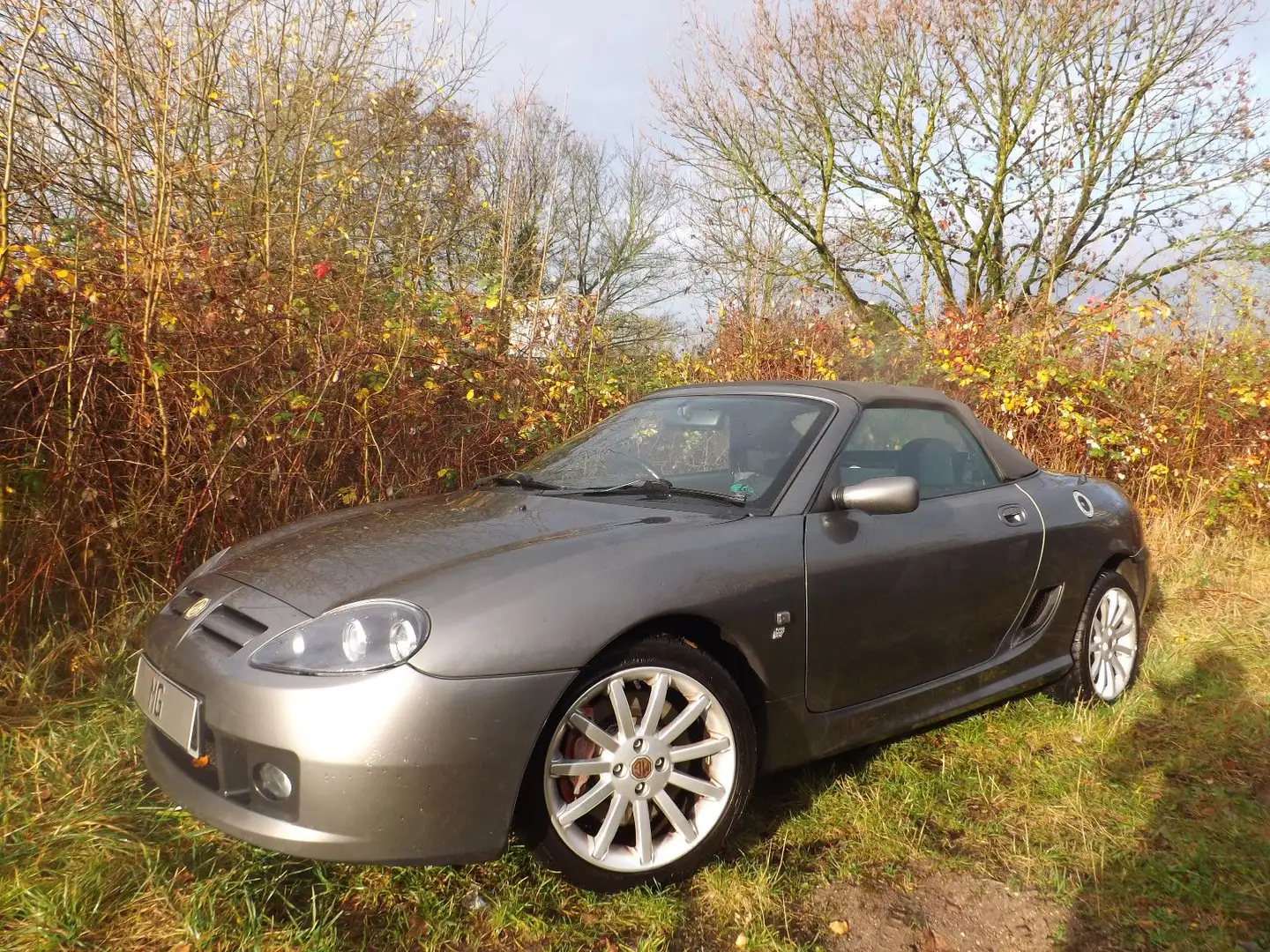 MG TF - geil, gut und richtig günstig! Grijs - 1