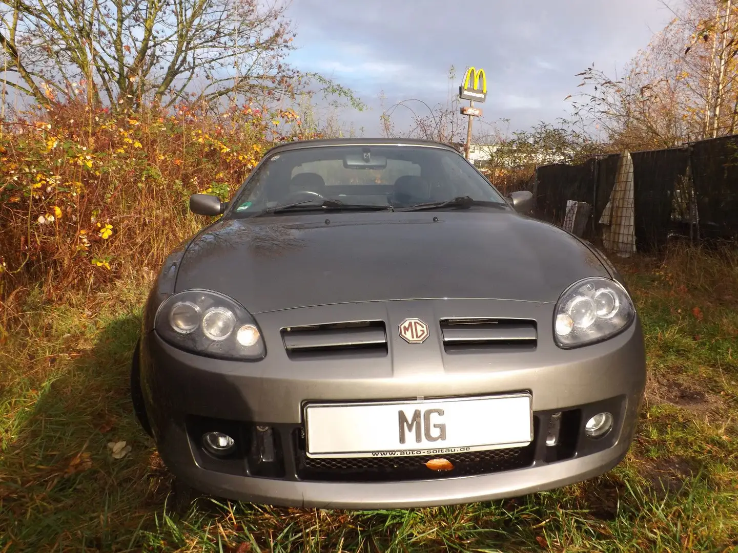 MG TF - geil, gut und richtig günstig! Grijs - 2