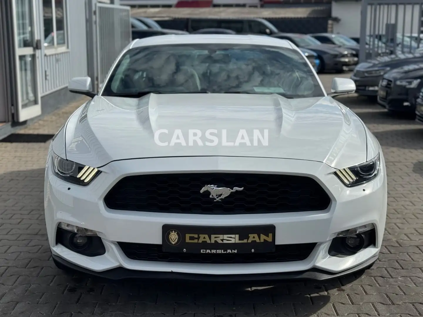 Ford Mustang 3.7 V6 "LPG+LED+NAVI+R.KAM+ALCANTARA+SHZ Weiß - 2