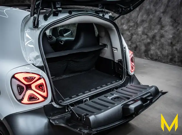 Smart Fortwo view 10
