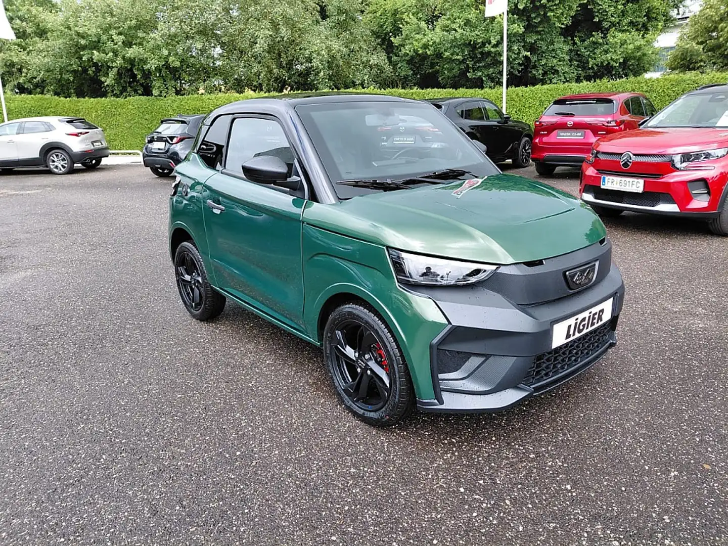 Ligier JS 50 ELITE Diesel + Servo NEUES MODELL *Autofahren a... Grün - 1