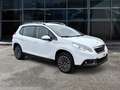 Peugeot 2008 1.4 DIESEL 68 CV  ADATTA NEOPATENTATI Bianco - thumbnail 3