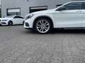 Mercedes-Benz GLA 250 GLA 250 4Matic 7G-DCT AMG-Line Pano Navi RFK Weiß - thumbnail 10