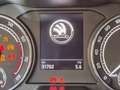 Skoda Kamiq 1.0 tsi Ambition 95cv Blu/Azzurro - thumbnail 14