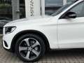 Mercedes-Benz GLC 220 d 4Matic 9G-Aut/AMG/NIGHT/AMBIENTE/SHZ/ Blanc - thumbnail 6