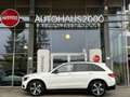 Mercedes-Benz GLC 220 d 4Matic 9G-Aut/AMG/NIGHT/AMBIENTE/SHZ/ Blanc - thumbnail 4