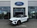 Ford Focus 1.0 Flexifuel mHEV 125ch Active X Blanc - thumbnail 1