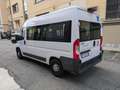 Fiat Ducato 33 2.3 MJT 150CV PM-TM    TRASPORTO DISABILI Weiß - thumbnail 7