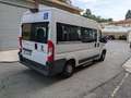 Fiat Ducato 33 2.3 MJT 150CV PM-TM    TRASPORTO DISABILI Weiß - thumbnail 6