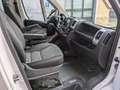 Fiat Ducato 33 2.3 MJT 150CV PM-TM    TRASPORTO DISABILI Weiß - thumbnail 12