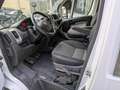 Fiat Ducato 33 2.3 MJT 150CV PM-TM    TRASPORTO DISABILI Weiß - thumbnail 11