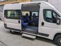 Fiat Ducato 33 2.3 MJT 150CV PM-TM    TRASPORTO DISABILI Weiß - thumbnail 3