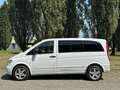 Mercedes-Benz Vito V6 CDI Cambio automatico Bianco - thumbnail 6