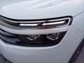 Citroen C5 Aircross PureTech 130 Business Shine Automatik Weiß - thumbnail 8