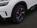 Citroen C5 Aircross PureTech 130 Business Shine Automatik Weiß - thumbnail 7