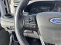 Ford Transit 2.0 EcoBlue 170 BENNE COFFRE Chassis cabine 350 RJ Blanc - thumbnail 15