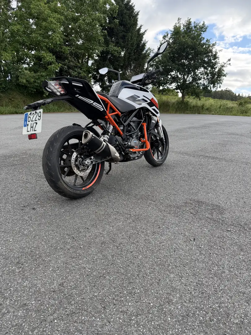 KTM 125 Duke Protectores Laterales De Motor - 2