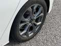 Ford Focus 1.0 EcoBoost 125 aut 5p.ST L.Co-P Bianco - thumbnail 10