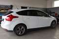 Ford Focus Easy 1,0 EcoBoost Weiß - thumbnail 4