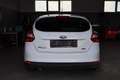 Ford Focus Easy 1,0 EcoBoost Weiß - thumbnail 5