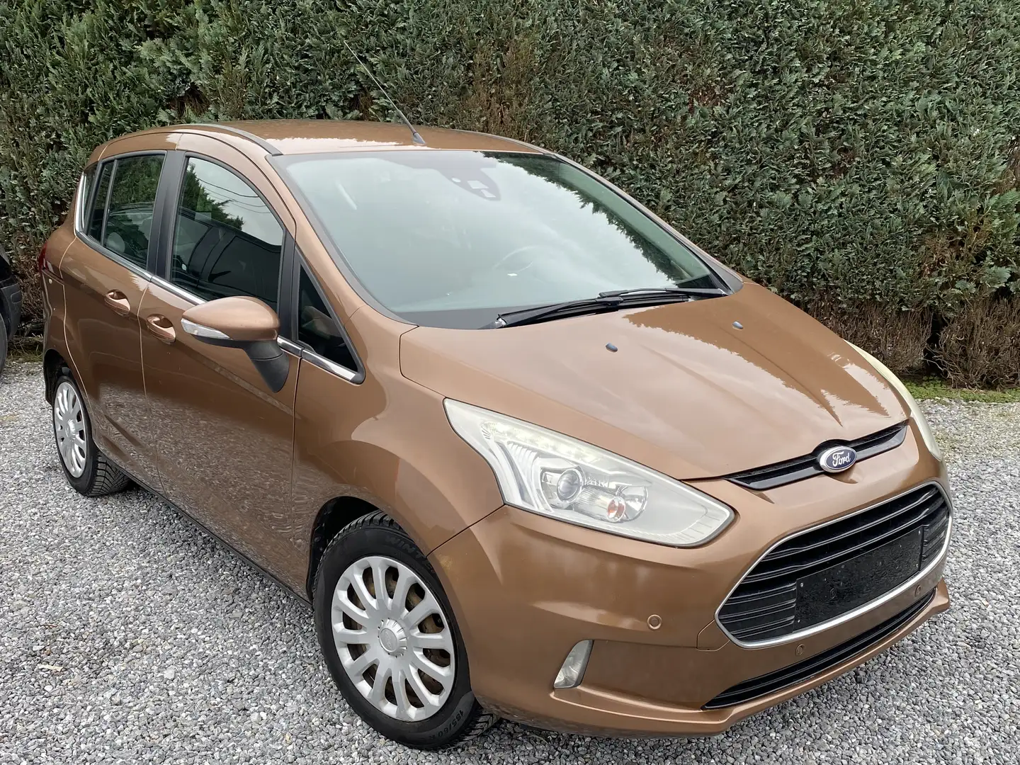 Ford B-Max 1.0 EcoBoost Titanium Marrón - 1