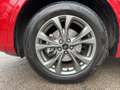 Ford Kuga 2.5 Duratec FHEV ST-Line AHK+Navi+SHZ+Kam. Rot - thumbnail 18